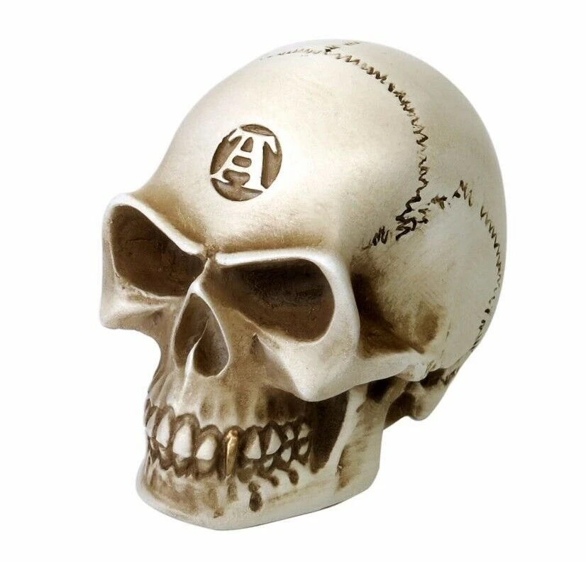 Skull Manual Gear Shift Knob — Inacoma 5 Skull Manual Gear Shift Knob — Inacoma - Image 3
