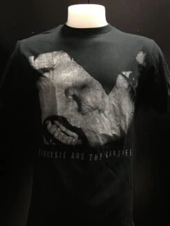 Siouxsie And The Banshees - Face — Inacoma