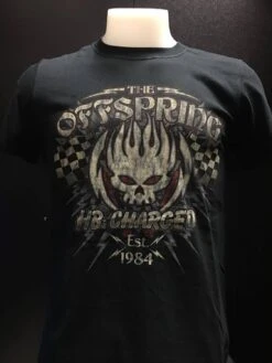 THE OFFSPRING - 2013 AUSTRALIAN TOUR — Inacoma