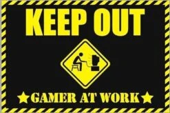 Gamer At Work — Inacoma