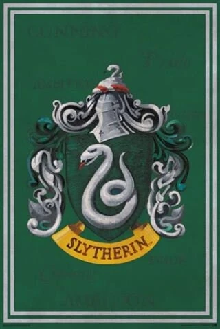 HARRY POTTER - SLYTHERIN CREST — Inacoma 3 HARRY POTTER - SLYTHERIN CREST — Inacoma