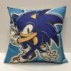 Sonic - Canvas Pillow — Inacoma -Inacoma 68B46644 F1E9 470C BBA2 6D4DF7090D83