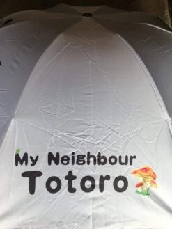 My Neighbour Totoro - Umbrella — Inacoma -Inacoma 733DAF9B 1A35 4C06 A9D7 95C154DF588B