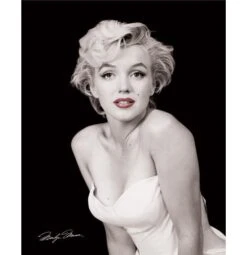 Marilyn Monroe Poster — Inacoma
